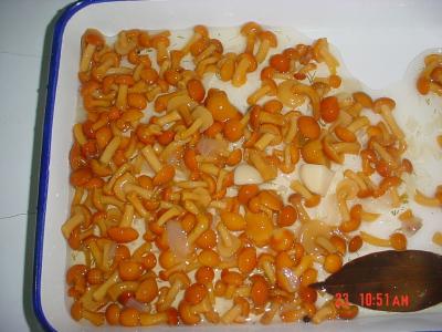 China Whole Nameko Mushroom Canning Fresh Vegetables In Jar Taste Salty Multi Size for sale