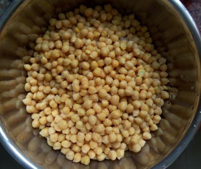 China Canned Chick Peas Garbanzo In Brine 425g, 567g, 800g for sale