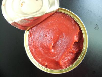 Chine La sauce tomate bidon, sauce tomate de mise en boîte en métal peut marque de distributeur à vendre