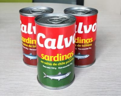 China Calvo Brand Canned Sardine Canned Fish in Tomato Sauce with or without Chili for sale