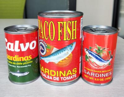 China Las sardinas sin piel sin hueso de la etiqueta privada, sal embalaron las sardinas HACCP enumeradas en venta