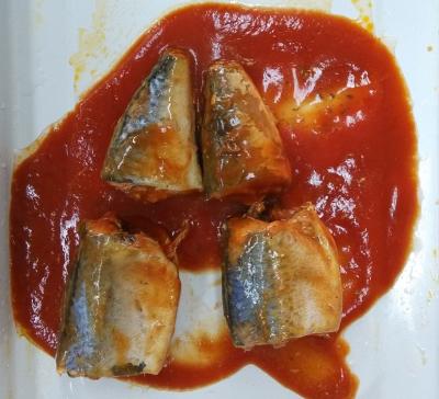 Chine Le maquereau mou de goût a mis en boîte les poissons/maquereau bidon en sauce tomate aucune impureté à vendre