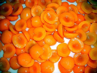 China New Crop Fresh and Nutritious Canned Apricot Halves in Syrup Golden Sun for sale