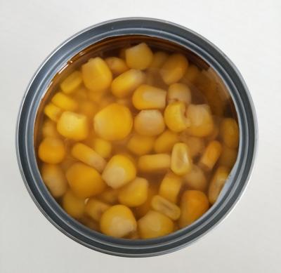 China 425g conservó el maíz dulce del corazón, maíz amarillo conservado en estándar HALAL del agua en venta