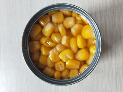 China Home Delicious Yellow Sweet Corn Kernels 567G / 2500G / 2840G / 3KG for sale