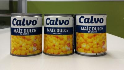 China Calvo Brand Canned Sweet Corn Maiz Dulze Net Weight 241g for Central America for sale