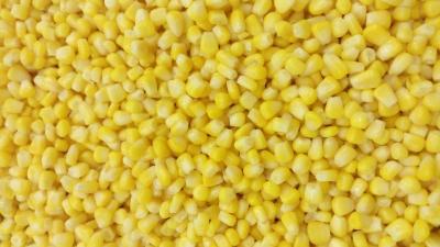 China Doce super enlatado empilhável 425g do núcleo de milho doce de EOE com marca própria à venda