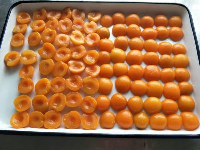 China Mitades conservadas baratas de los albaricoques de la fruta conservada en jarabe ligero con marca privada en venta