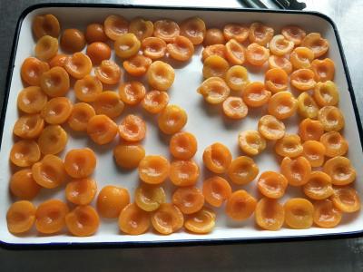 Китай Законсервированные оптовой продажей половины абрикоса свежих фруктов в светлом сиропе продается