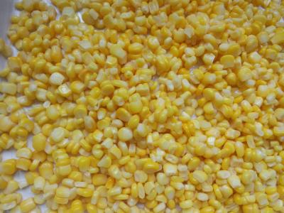 China Wholesale Chinese Cheap Canned Sweet Corn 3kg In Water for sale