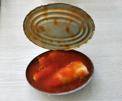 中国 詰まった425g楕円形の錫は中国の包装業者からのトマト ソースのサーディンの魚を缶詰にしました 販売のため