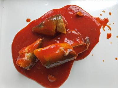 Chine Vendez les sardines en gros en boîte en sauce tomate (chaude) 50 X 155g/24 X 425g à vendre