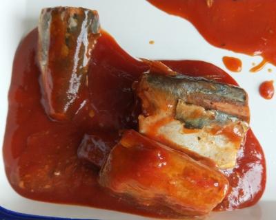 China Caballa pacífica conservada en salsa de tomate en venta