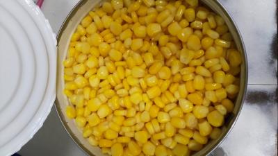 China 6/A10 maíz dulce conservado lata grande 2840g en venta