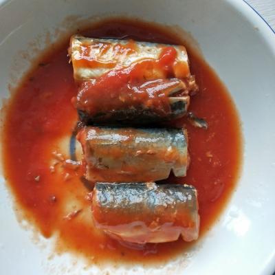 China 425g estanhou peixes pacíficos da cavala em PCes do molho de tomate 3-5 à venda