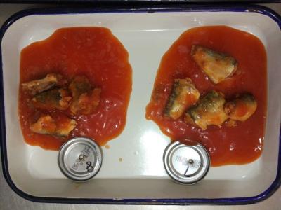 Chine 50 que X 155g a mis en boîte des sardines pêchent en sauce tomate avec le piment fort à vendre