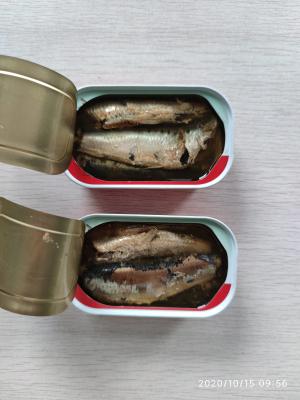 China No Additives Canned Sardine Fishfor Quick Lunch Or Light Dinner for sale