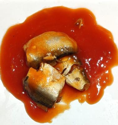 Chine 155g a mis en boîte des poissons de sardines en sauce tomate à vendre