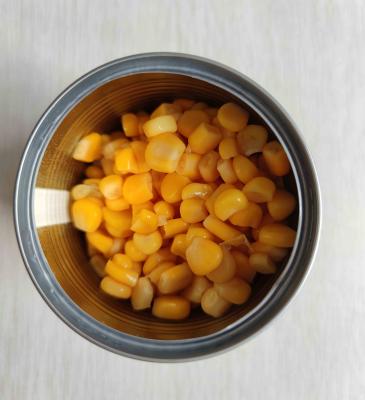 China 340g 425g 2125g Canned Sweet Kernel Corn In Water for sale