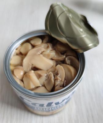 China 580ml 720ml Grade A Canned Champignon Mushroom With Salty Flavor for sale