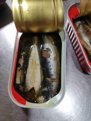 Chine Le sel de FDA a emballé les poissons de la sardine 125g en boîte par club en huile à vendre