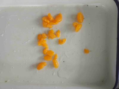 中国 14% 15% 16% 17%のシロップによって缶詰にされるマンダリン オレンジの区分 販売のため