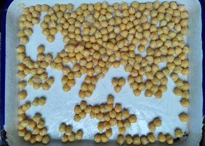 China Salty Flavor Canned Garbanzo Beans With No Impurity for sale