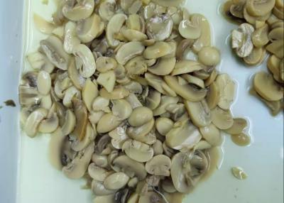 Chine Les diverses caractéristiques ont mis en boîte les champignons coupés en tranches à vendre