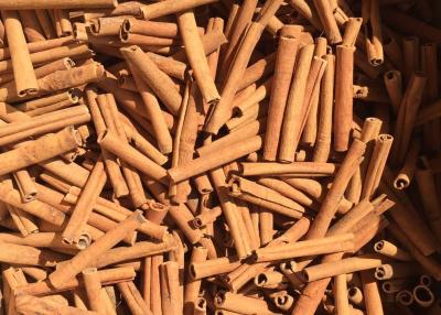 Китай Травы и специи кассии сигареты желтого Брауна 8cm 10cm 12cm продается