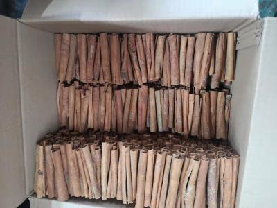 China 13.5% Moisture Cigarette Cassia Bulk Supply Herbs And Spices for sale