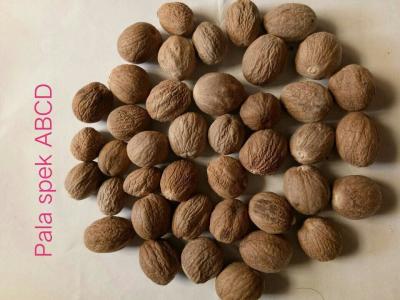 China Nutmeg Myristica Fragrans With Or Without Shell From Indonesia for sale