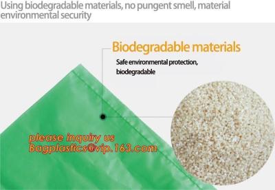 Китай Эн13432 аттестовало напечатанную таможней оптовую биодеградабле компостабле пластиковую сумку фармации с ручкой синглета продается