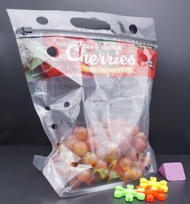 Chine le sac frais d'emballage de tomate-cerise, sac général préservatif de raisin de fruit frais, ascenseur de rouge de cerise a scellé le sac d'emballage à vendre