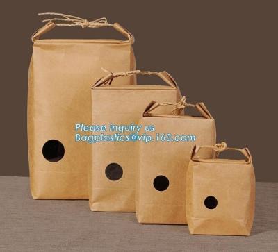 Chine sac de papier de nourriture de papier d'emballage de brun de sac d'emballage de papier d'emballage de paquet du riz 1kg, sac de conditionnement en plastique de sac du riz 5kg10kg pour le riz, la Floride à vendre