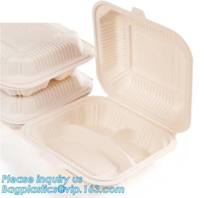 China Disposable corn starch bento lunch box takeaway food container,take away box PLA PP mixed biodegradable corn starch food for sale