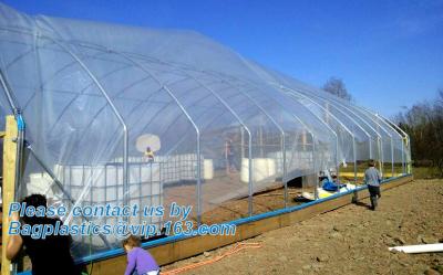 China Agricultural PE Film, Agriculture Polyethylene, Film, mulch films, horticultural polyethylene film for sale