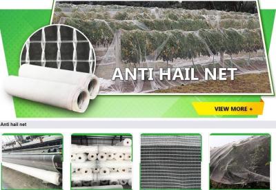 China bird protection net, net trap,bird net,anti-bird net,mist net,pe tarpaulin,tarpaulin roll,shade net,mesh net,monoflament for sale