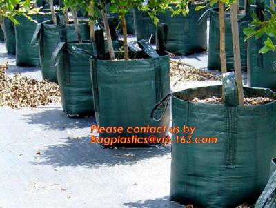China Potato Grow Biodegradable Garden Bags Vegetable Patio Container Pp Fabric Leaf Waste for sale