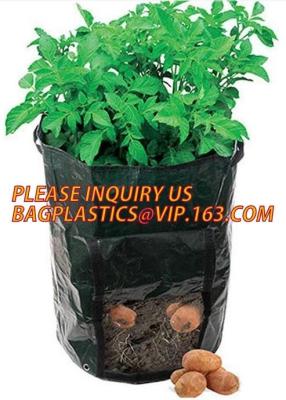 China Heavy Duty Biodegradable Garden Bags Potato Grow Murphy PE Fabric Gallon Durable for sale