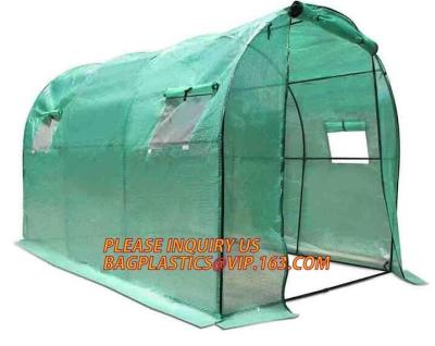 China Innen5' Wasserkultur X5 wachsen Zelt-Ausrüstungen, die Plastik die Gartenarbeit des Zelt-600D wachsen zu verkaufen