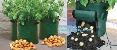 중국 정원 plant/ 파타토 / 야채는 자라고 bags,2gallon 식물 꽃이 봉지 식물 감자 오우를 자라기 때문에 핫스아레스 구성 화분이 봉지를 성장시킵니다 판매용