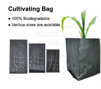 중국 가방 / 폴리에틸렌 거대한 나무 심는 기구 가방, 폴리 우량 가방 5 갤런을 성장시키는 이펙트아이브 UV 안정된 검은 백색 플라스틱 판매용