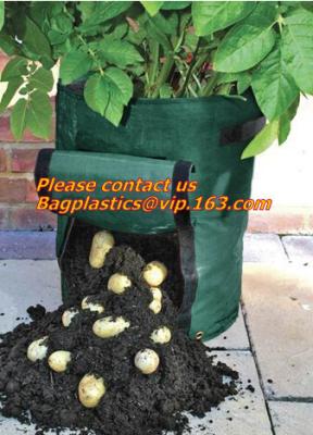 China potato planter with 7/10 gallon potato planter,potato grow pots with handles flap for easy havesting, and drainage holes for sale
