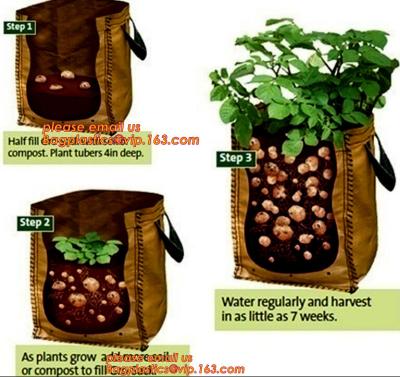 China 40 Gal Grow Biodegradable Garden Bags Aeration Fabric Pots Breathable With Handles for sale