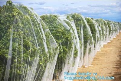China Plastic Anti Bird/Hail/Insect Plants Protection Net for Agriculture,insect repellent net/20x10 Anti Aphid Net/Greenhouse for sale