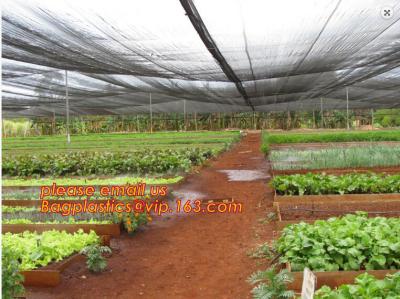 China 30 mesh anti insect farm nets for greenhouse,100% pe transparent color greenhouse anti insect net for plant, agriculture for sale