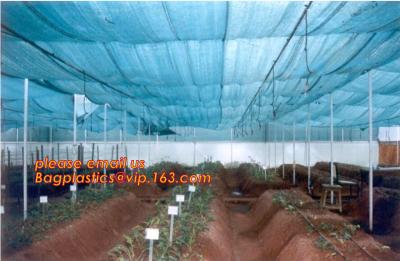 China agriculture anti insect net on roll insect proof mesh for greenhouse,Greenhouse Anti Insect Netting /Agriculture Netting for sale
