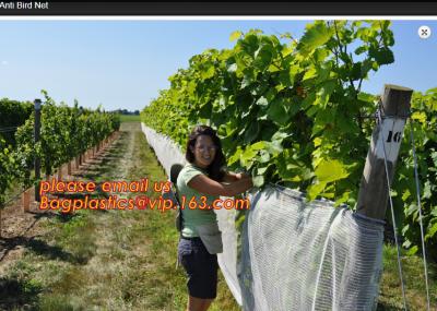 China Hot Selling Greenhouse Anti Insect Netting with Competitive Price,virgin hdpe anti insect net for agriculture, BAGPLASTI for sale