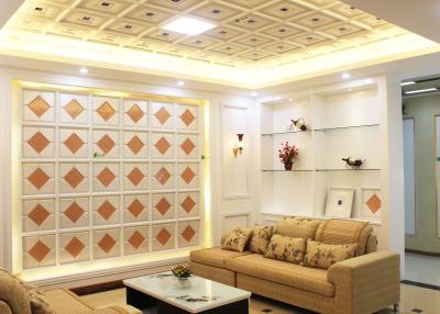 China Painéis de teto decorativos interiores artísticos para a sala de visitas, teste do GV à venda