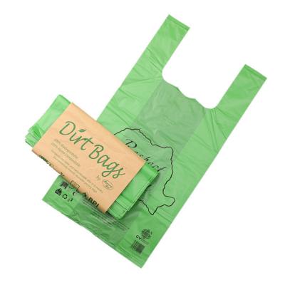 China Custom printed 100% biodegradable bag, printing compostable bag for sale